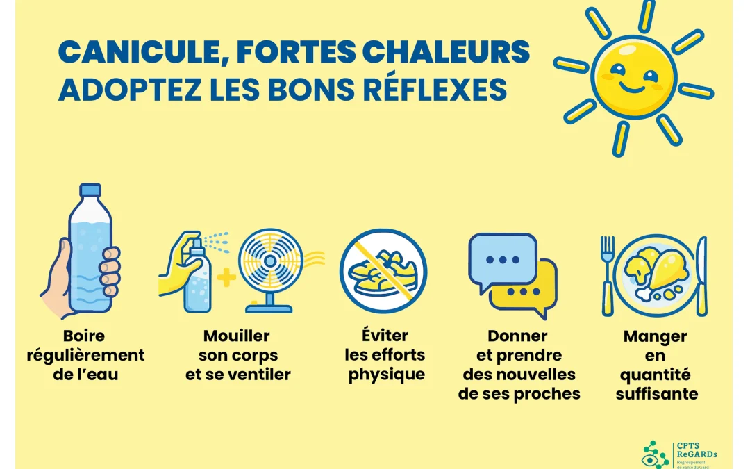 Canicules, les bons réflexes